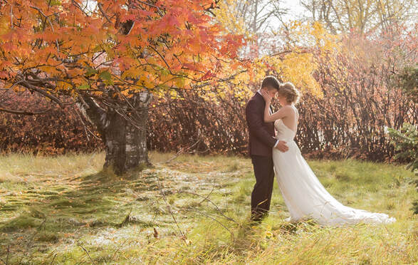 wedding couple stand close under a red leafed tree
