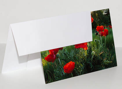 A greeting card and envelope with poppies on the front