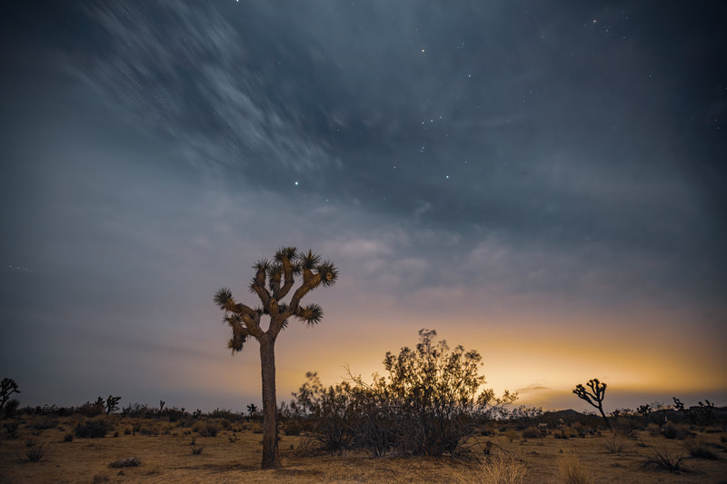 <img src="tree.jpg" alt="sunset and sparkling skies over a joshua tree in northern California"> height="300" width="300"
