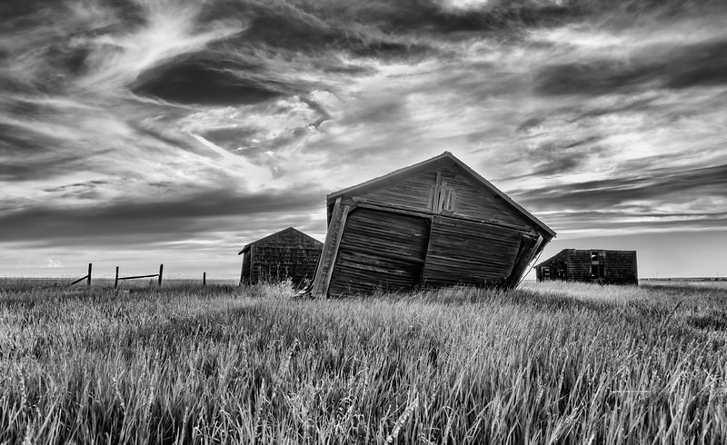Leaning outbuildings during sunset (black and white)