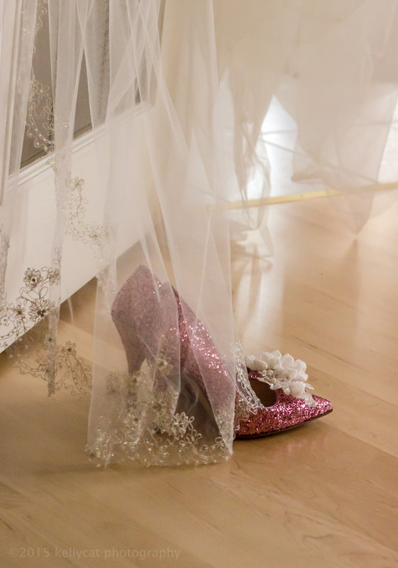 <img src="shoe.jpg" alt="sparkling pink wedding shoe draped in a bride's veil">  height="300" width="300"