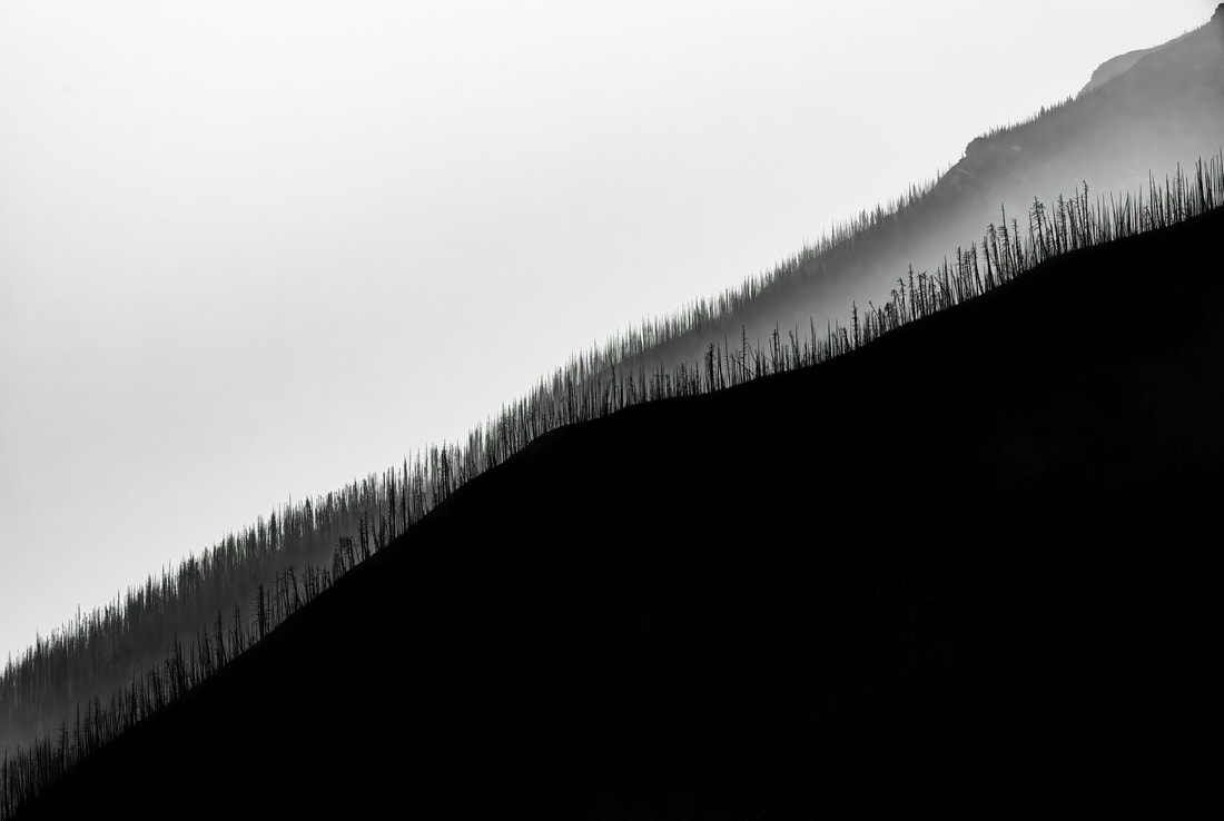 Edges of a forested hill silhouetted against  smoky sky