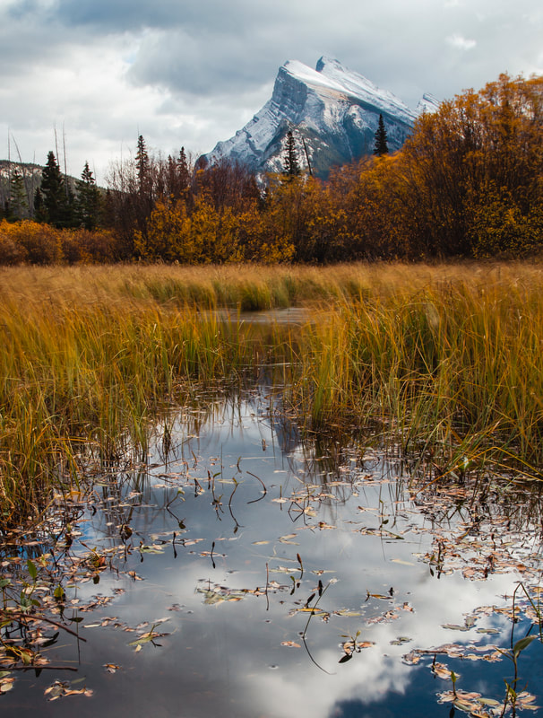 <img src="wander.jpg" alt="take a wander along the shore, to grab a peek at Mt. Rundle">  height="300" width="300"